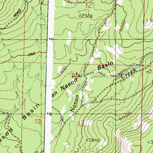 Topographic Map of Dan Nason Basin, WA