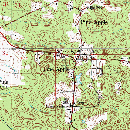 Topographic Map of Pine Apple, AL
