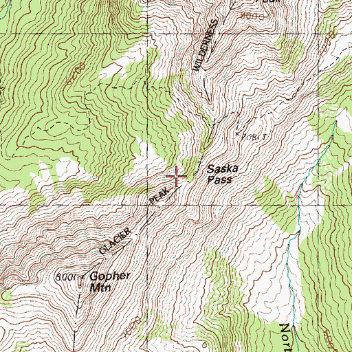 Topographic Map of Saska Pass, WA