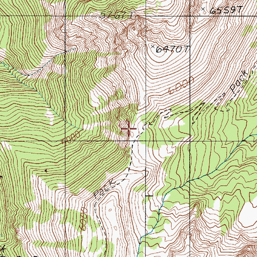 Topographic Map of Buckhorn Pass, WA