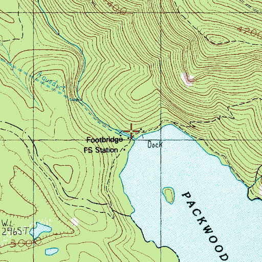 Topographic Map of Packwood Lake Resort, WA
