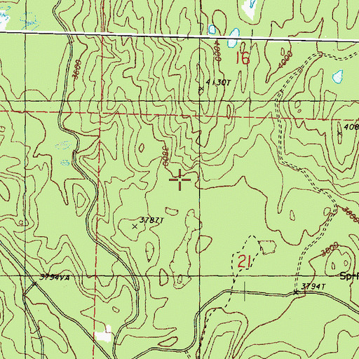 Topographic Map of Big Tree Botanical Area, WA