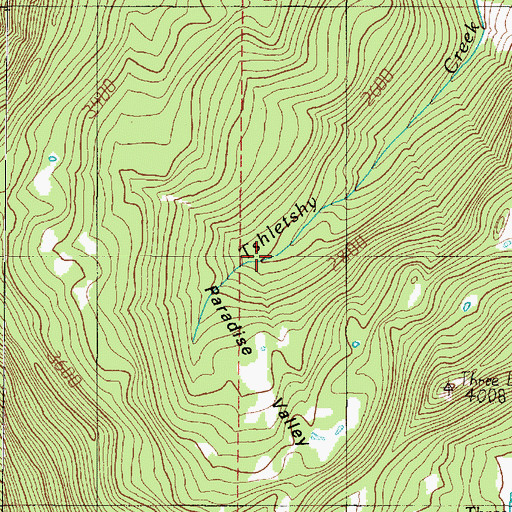 Topographic Map of Paradise Valley, WA