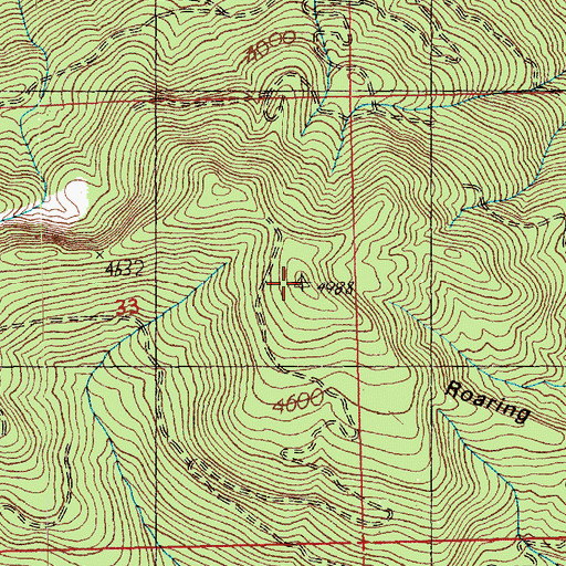 Topographic Map of Roaring Ridge Lookout, WA