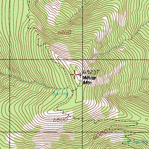 Topographic Map of White Mountain Lookout, WA