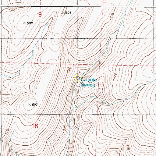 Topographic Map of Coyote Spring, WA