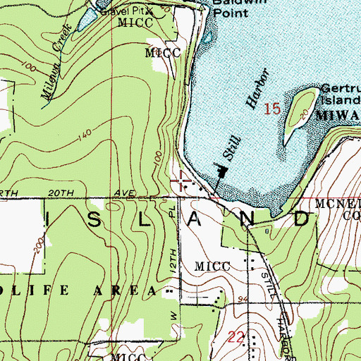 Topographic Map of Gertrude, WA