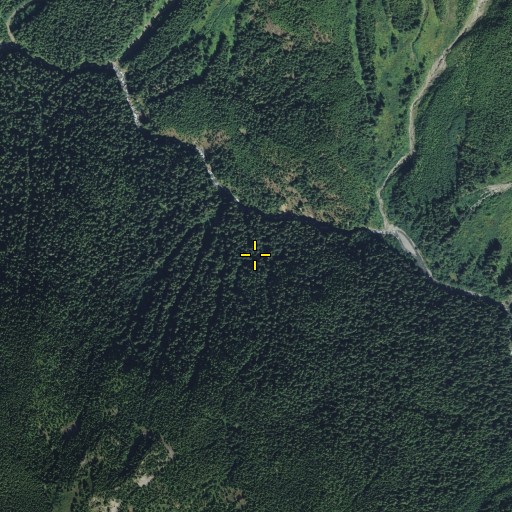 Aerial/Satellite Image of Olympic Mountains, WA