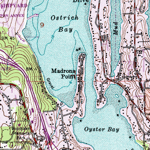Topographic Map of Madrona Point, WA