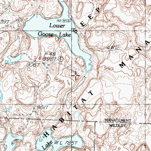 Topographic Map of Lower Goose Lake Dam, WA