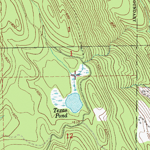 Topographic Map of Texas Pond Dam, WA