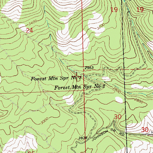 Topographic Map of Forest Mountain Spring Number 3, WA