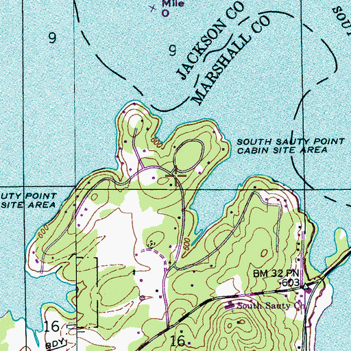 Topographic Map of South Sauty Point Cabin Site Area, AL