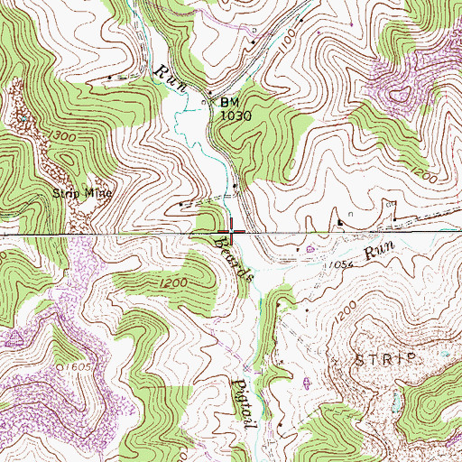 Topographic Map of Beards Run, WV