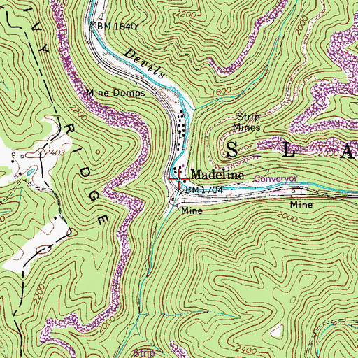 Topographic Map of Beetree Branch, WV