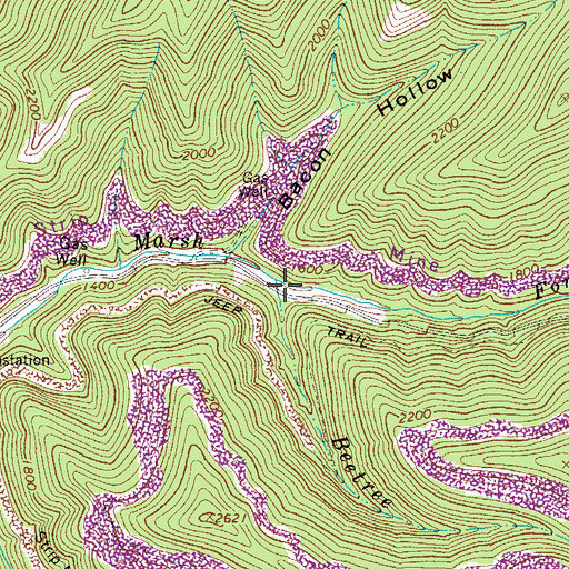 Topographic Map of Beetree Branch, WV