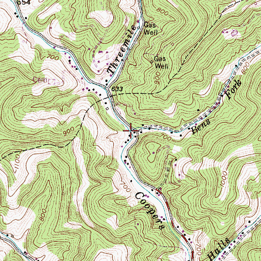 Topographic Map of Bens Fork, WV
