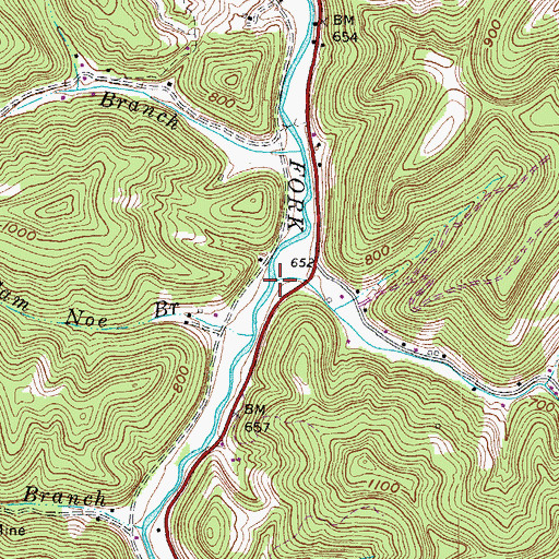 Topographic Map of Billy Branch, WV