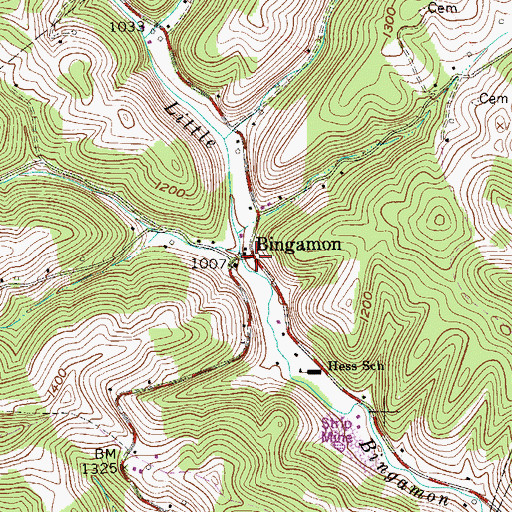 Topographic Map of Bingamon, WV