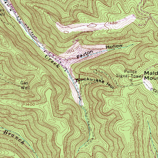 Topographic Map of Blacksnake Hollow, WV