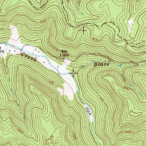Topographic Map of Blaze Fork, WV
