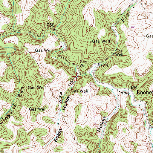 Topographic Map of Boggs Hollow, WV