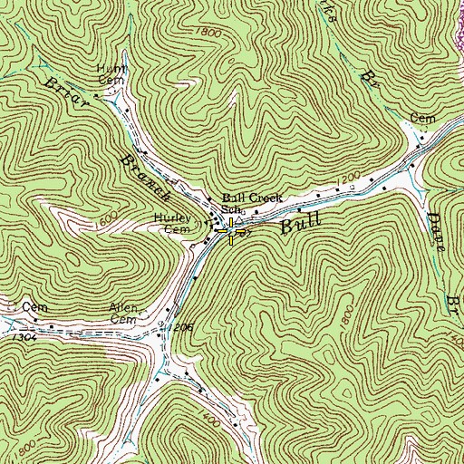 Topographic Map of Briar Branch, WV