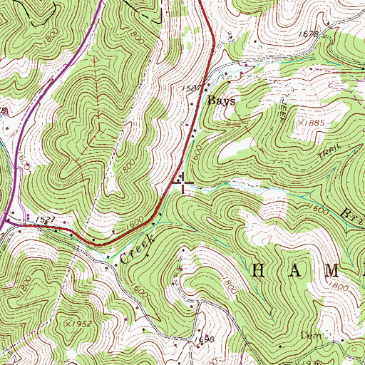 Topographic Map of Brier Run, WV