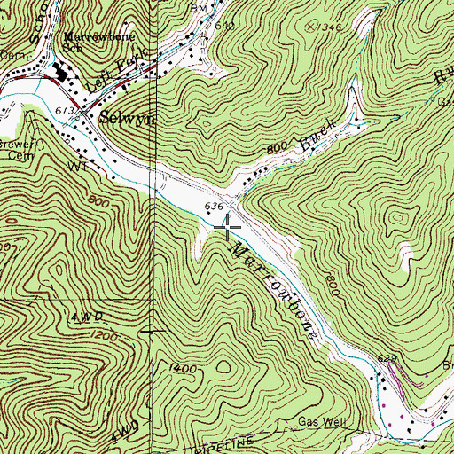 Topographic Map of Buck Run, WV