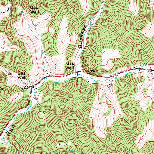 Topographic Map of Buckeye Fork, WV