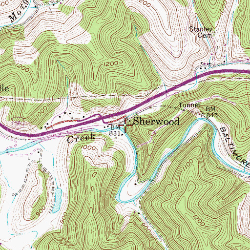Topographic Map of Buckeye Run, WV