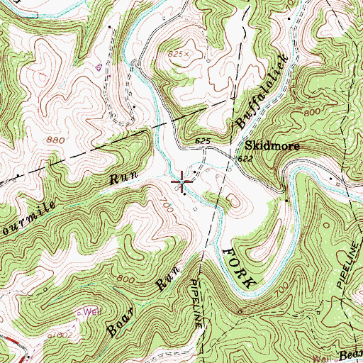 Topographic Map of Buffalolick Run, WV
