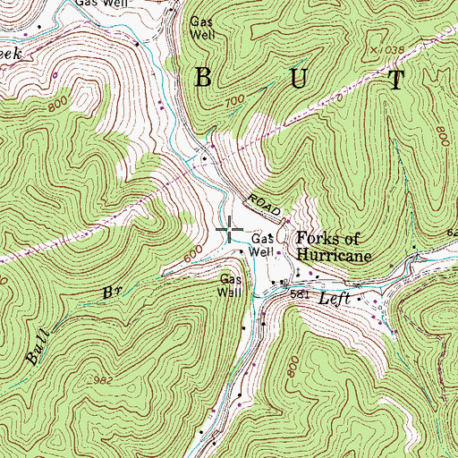 Topographic Map of Bull Branch, WV