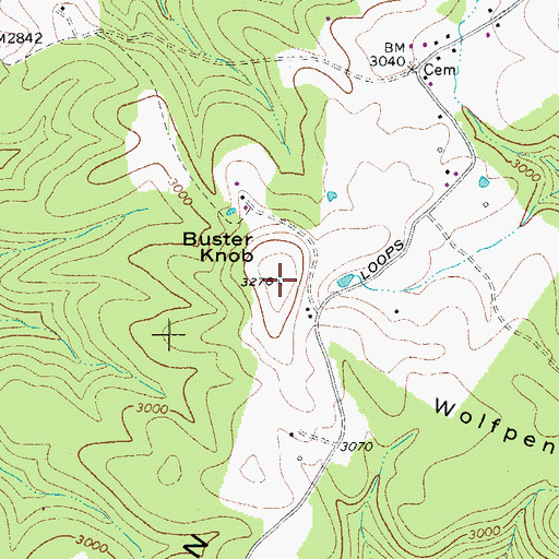 Topographic Map of Buster Knob, WV