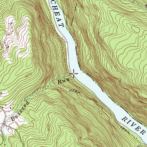 Topographic Map of Buzzard Run, WV