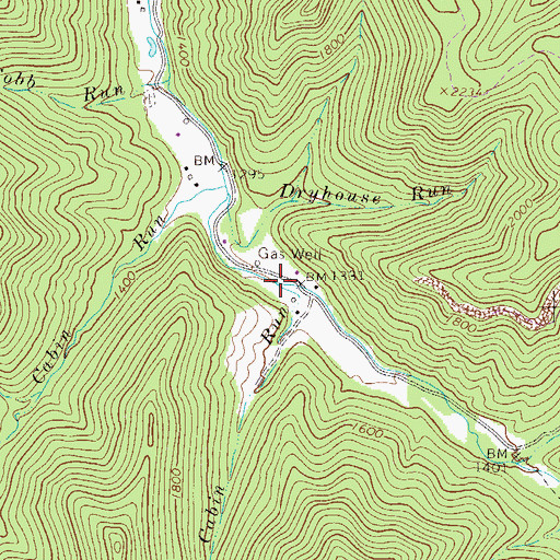 Topographic Map of Cabin Run, WV