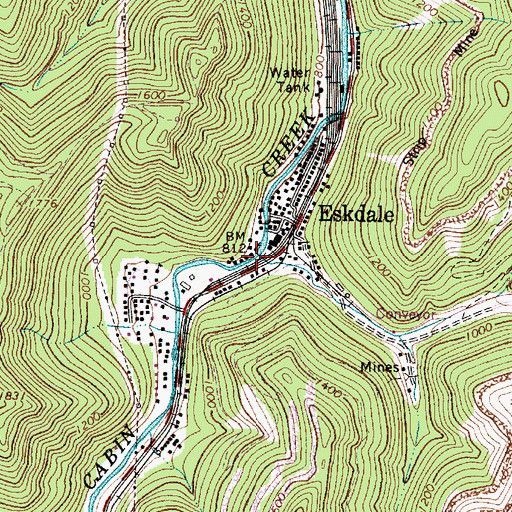 Topographic Map of Cane Fork, WV