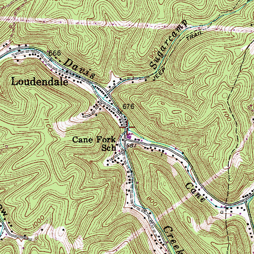 Topographic Map of Cane Fork, WV