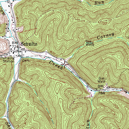 Topographic Map of Carney Run, WV