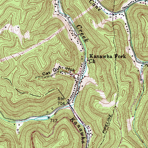 Topographic Map of Cat Gut Hollow, WV