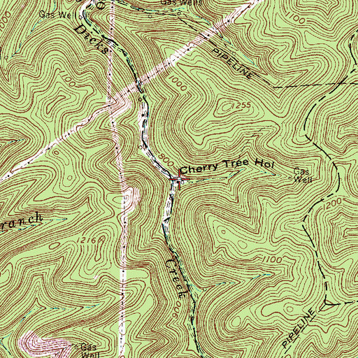 Topographic Map of Cherry Tree Hollow, WV