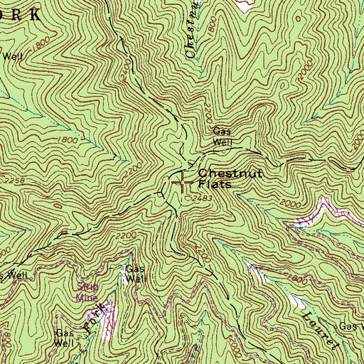 Topographic Map of Chestnut Flats, WV