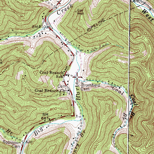 Topographic Map of Coal Branch, WV