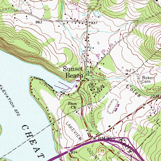 Topographic Map of Coles Run, WV