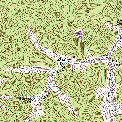 Topographic Map of Collins Cemetery, WV