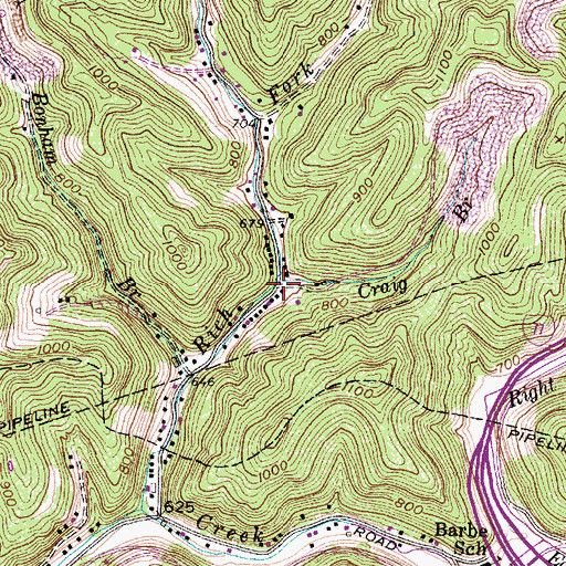 Topographic Map of Craig Branch, WV
