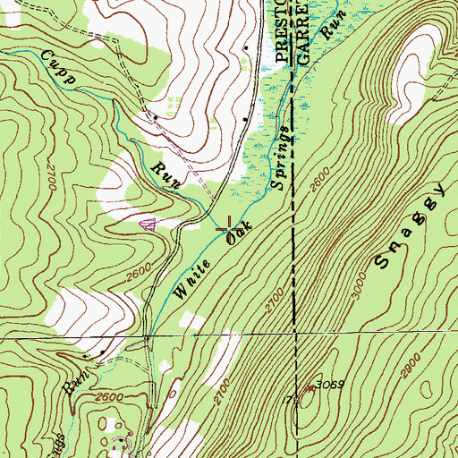 Topographic Map of Cupp Run, WV