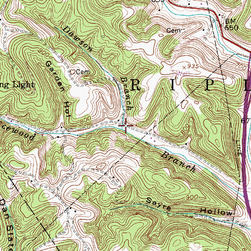 Topographic Map of Dawson Branch, WV