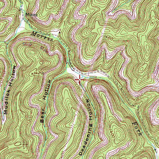 Topographic Map of Deadening Hollow, WV