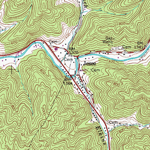 Topographic Map of Elkins Branch, WV